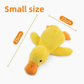 Squeaker Plush Toy for Pets