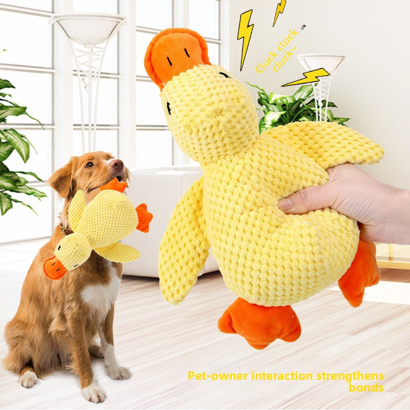 Squeaker Plush Toy for Pets