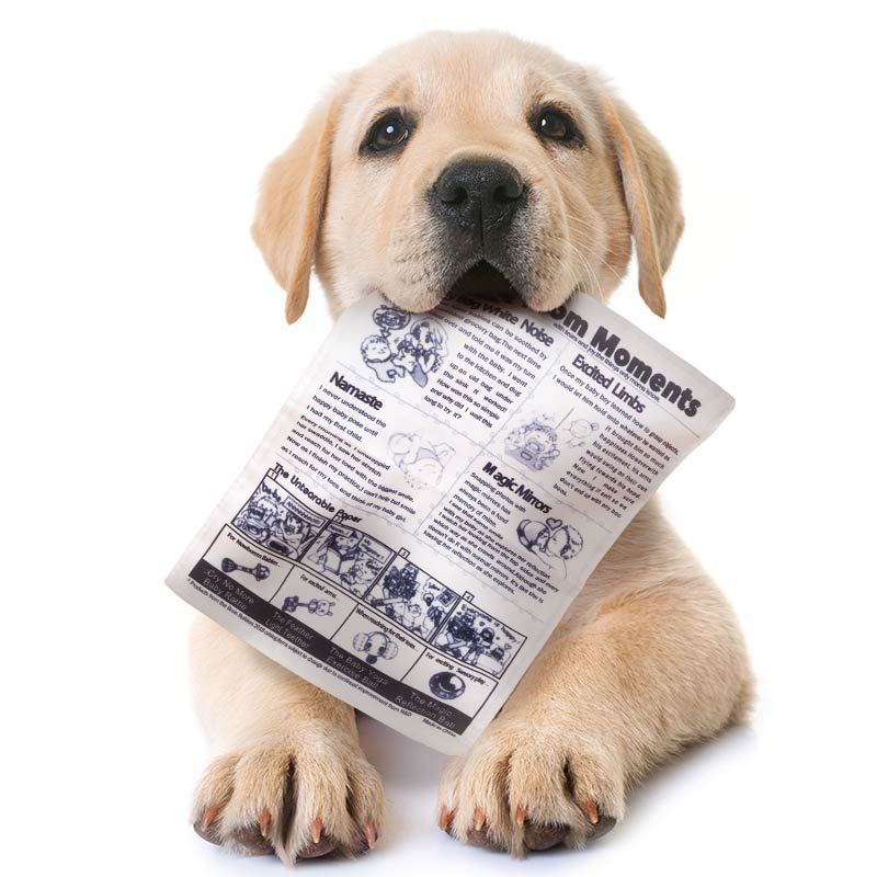 Pet Crinkle Sound Toy for Dogs