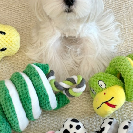 Plush Tug Rattle Chew Toy for Pets