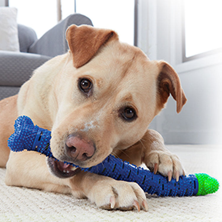 Removable Dental Chew Bone for Dogs