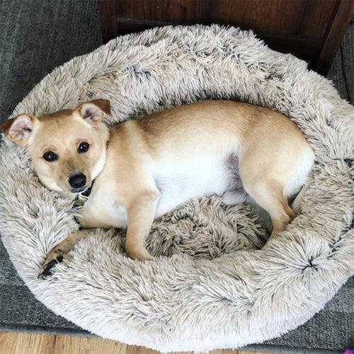 Super Soft Calming Pet Bed – Plush Lamb Velvet for Dogs & Cats
