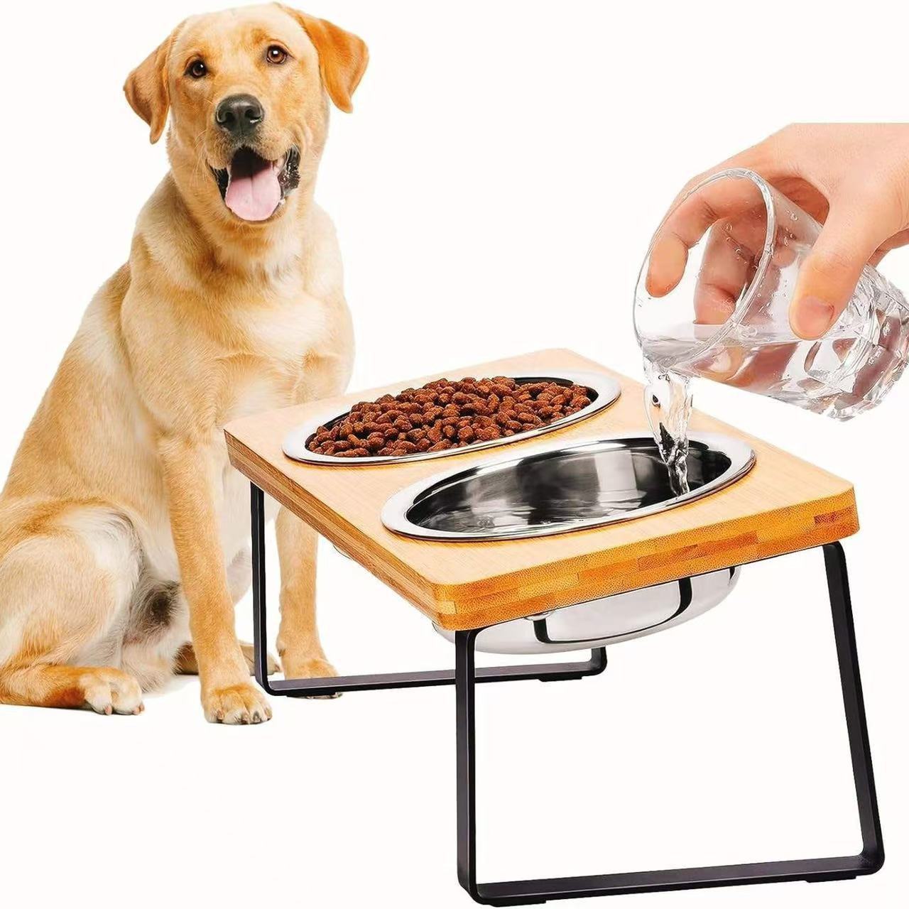 Pet cat and small dog bowl