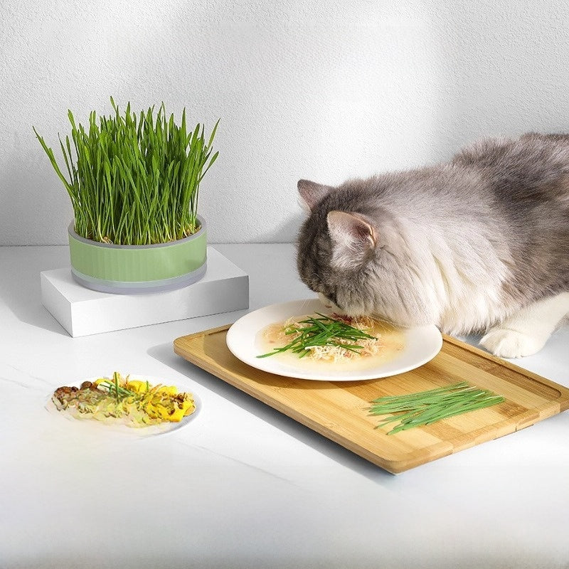 Pet Supplies Cat Grass Pot Toys