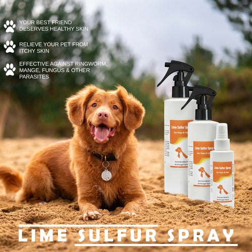 Lime Sulfur Pet Shampoo & Spray Bundle – 8 oz Set